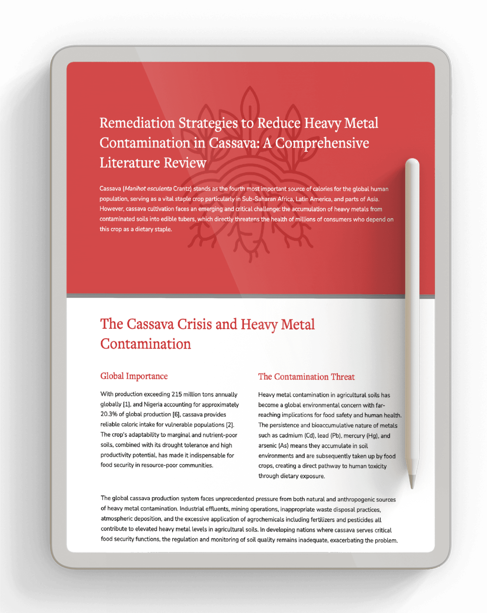Remediation Strategies to Reduce Heavy Metal Contamination in Cassava: A Comprehensive Literature Review